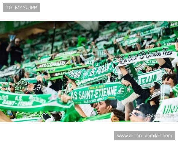 “球迷故事：从支持到狂热，感人瞬间”，球迷分享