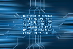 ac米兰官网-NBA联盟市场营销策略的数字化转型，nba营销策略分析论文