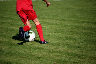 米兰体育app官网入口-篮球运动员心理韧性培养及心理干预体系建设，篮球运动员心理素质的重要性