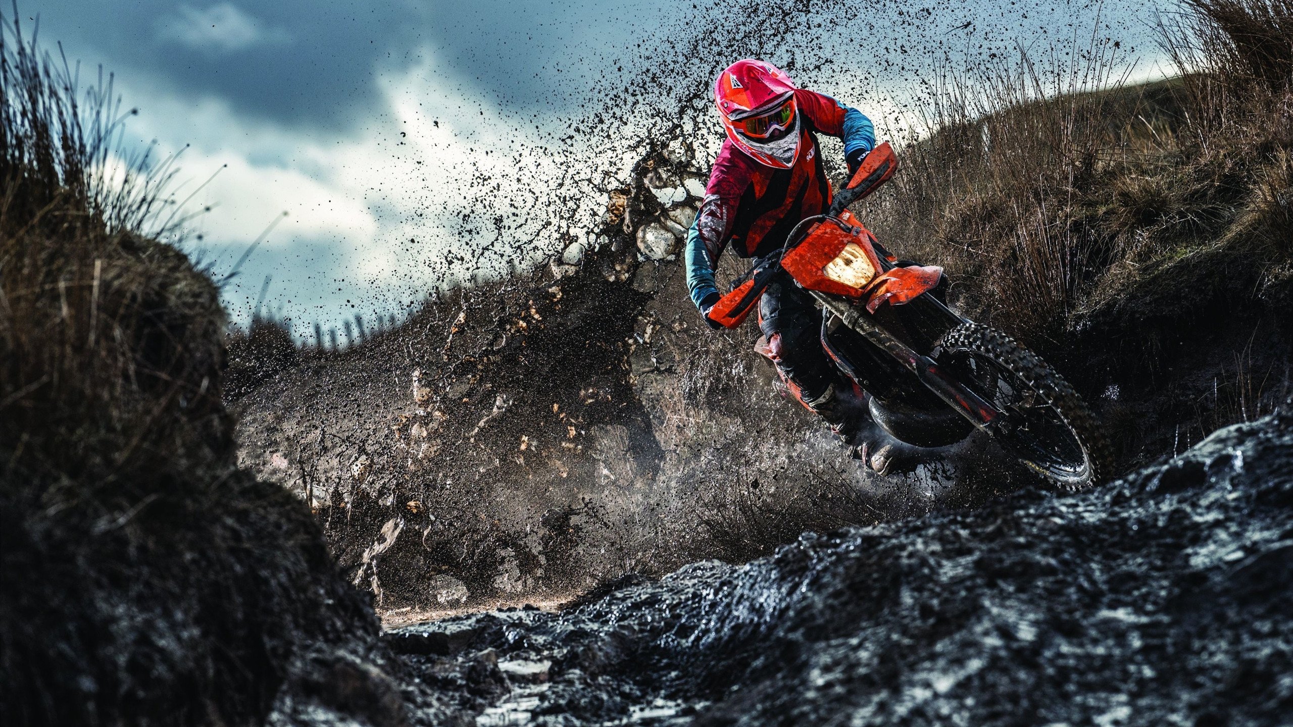 足球新闻年度分析